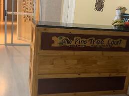 The Pine Tree Court