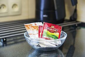 Apartment in the center on Pochtovaya 25