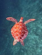 Luxury Villa Bhuvana