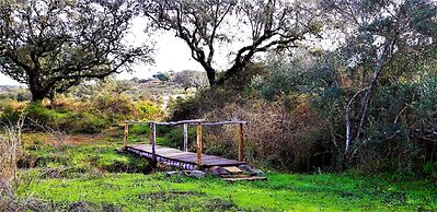 Monte do Alento - Castro da Cola