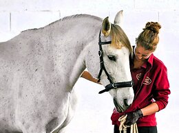 Monte do Alento - Castro da Cola