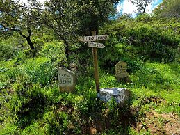 Monte do Alento - Castro da Cola