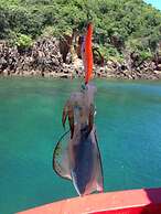 Blue Lagoon Home Trang