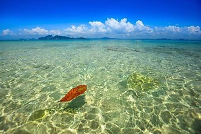 Blue Lagoon Home Trang