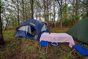 Camping de Los Peroles