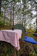 Camping de Los Peroles