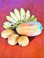 Bhakthi Yoga Sri Lanka