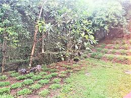 Bhakthi Yoga Sri Lanka