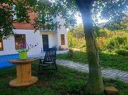 Four seasons in Kutaisi