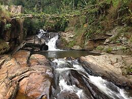 Canto da Lua Chalés e Apiário