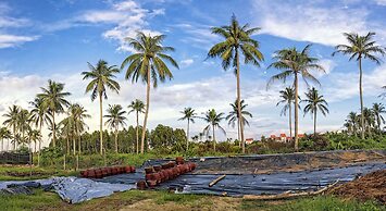 G Boutique Retreat Hoi An