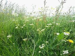 Dalssel Farm Guesthouse