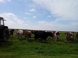 Dalssel Farm Guesthouse