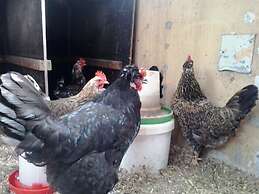 Dalssel Farm Guesthouse