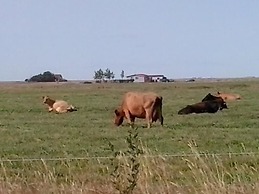 Dalssel Farm Guesthouse