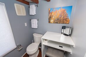 Tiny House Leadville