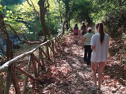 Elix, Mar-Bella Collection