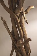 COSTA RICA BIBIONE Spa