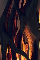 COSTA RICA BIBIONE Spa