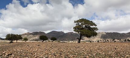 Tifawin Home & Garden