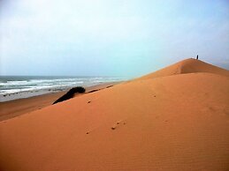 Tifawin Home & Garden