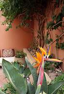 Tifawin Home & Garden