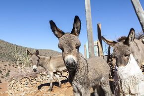 Tifawin Home & Garden