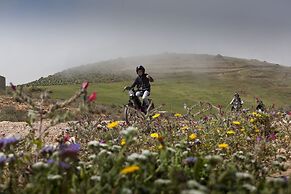 Tifawin Home & Garden