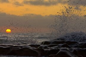 Tifawin Home & Garden