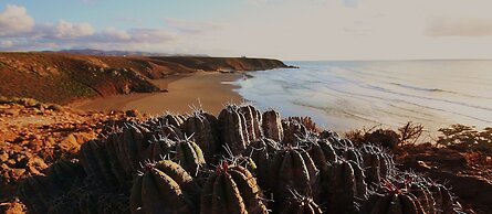 Tifawin Home & Garden