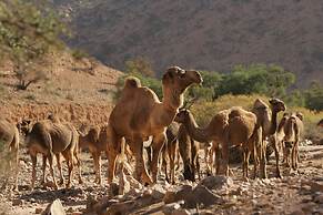 Tifawin Home & Garden