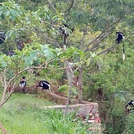 Kyaninga Royal Cottage
