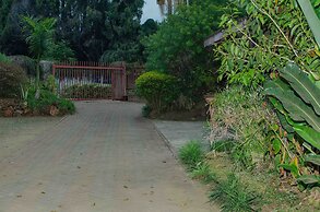 Graceland Guesthouse