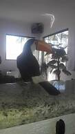 Pousada Manaca