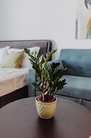 Best House- Nirvana II Patra