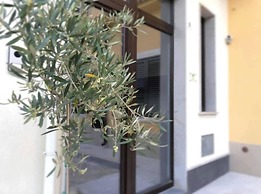 B&B Terra di Sicilia Luxury Rooms