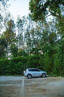 Malkia Trees Lodge