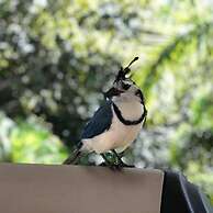 Hotel Nature Lodge Finca los Caballos