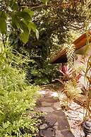 Hotel Nature Lodge Finca los Caballos
