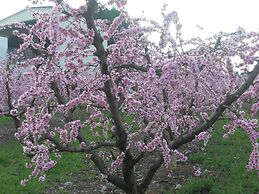 Casa Rural Los Pinos