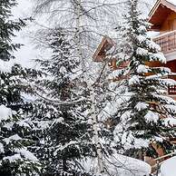 Appartements de Charme du Saint Martin