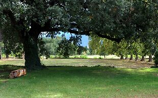 Chateau de Villeclare