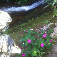 Gato de Botas Flats & Suites