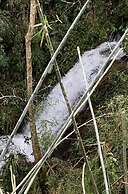 Gato de Botas Flats & Suites