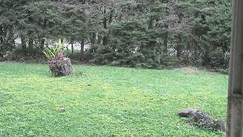 Gato de Botas Flats & Suites