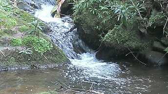 Gato de Botas Flats & Suites