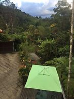 Gato de Botas Flats & Suites