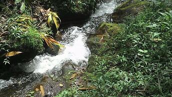 Gato de Botas Flats & Suites