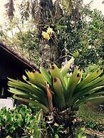 Gato de Botas Flats & Suites