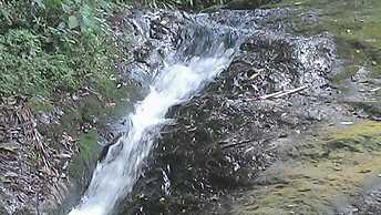 Gato de Botas Flats & Suites